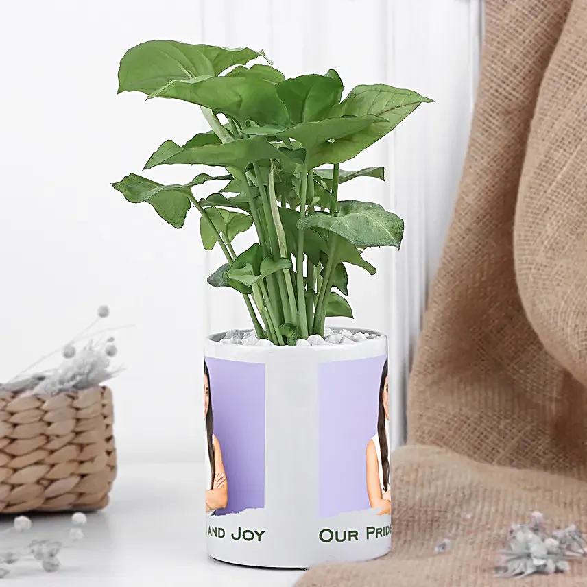Syngonium Blooming Duo for Cherished Daughter