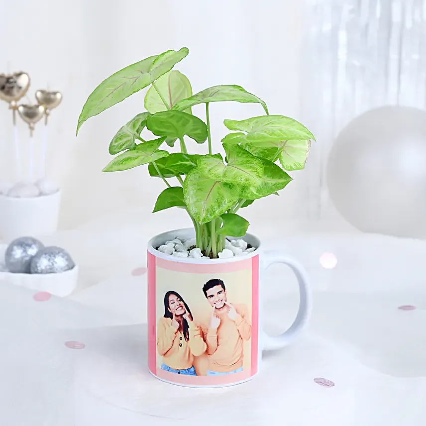 Syngonium Harmony Mug