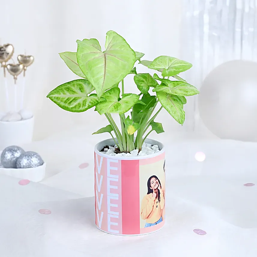 Syngonium Harmony Mug