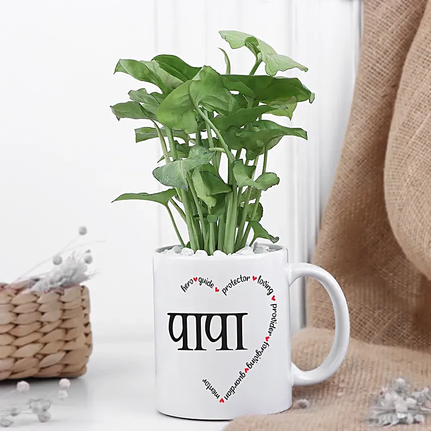 Syngonium Love For Dad