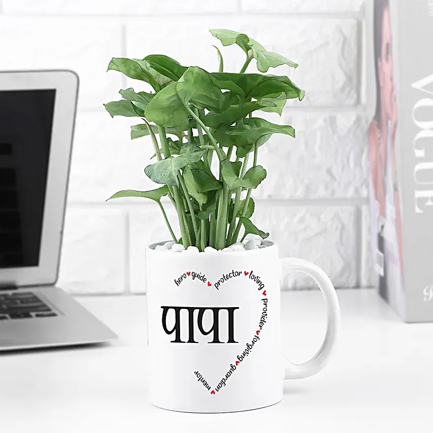 Syngonium Love For Dad