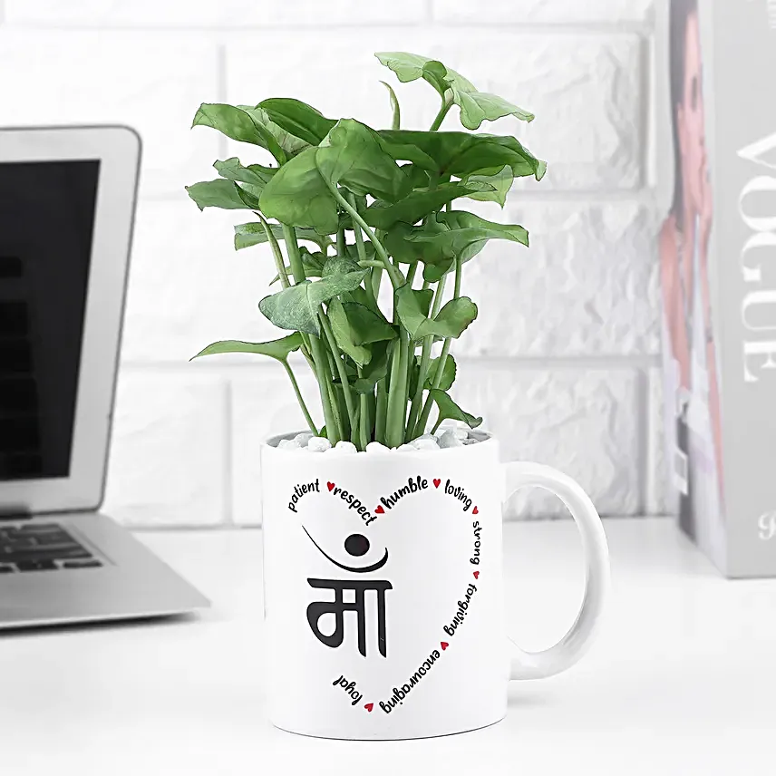 Syngonium Love For Mom