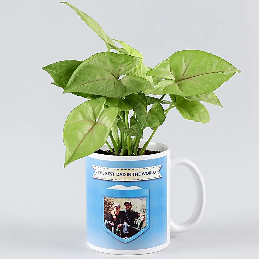 plant with mug planter for fathers day