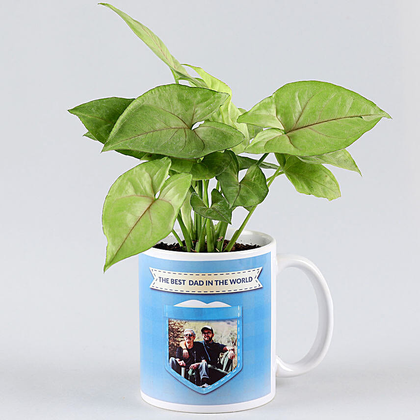 personalised fathers day plants