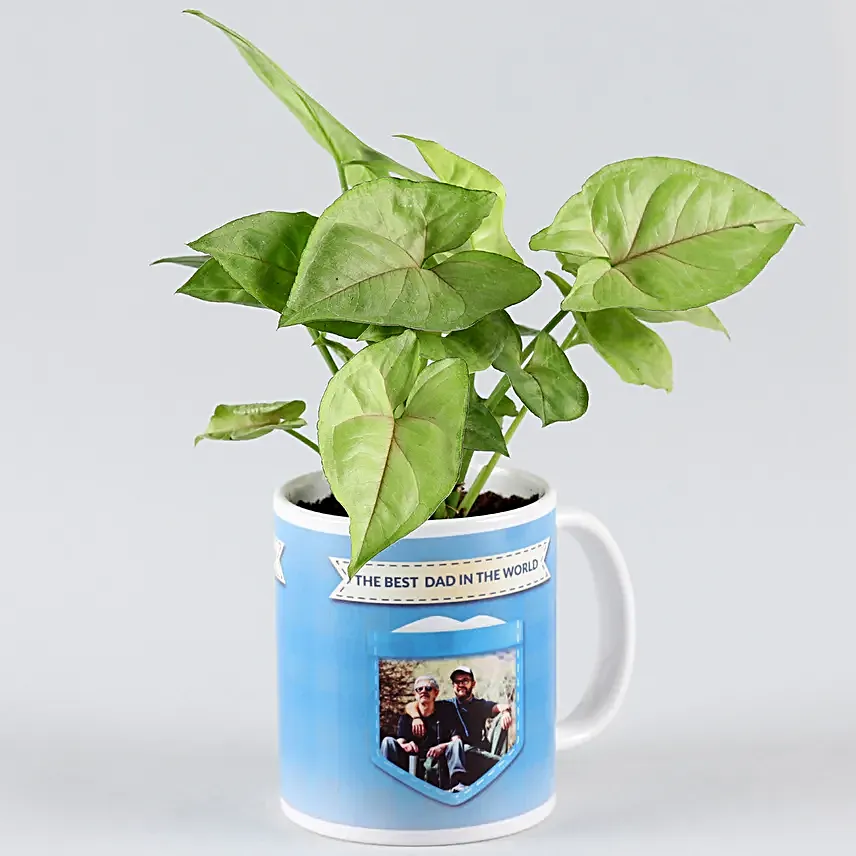 personalised fathers day plants