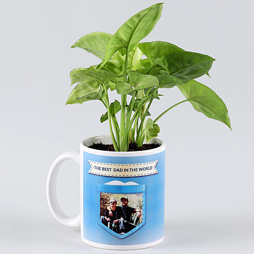 personalised fathers day plants