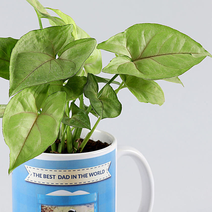 personalised fathers day plants