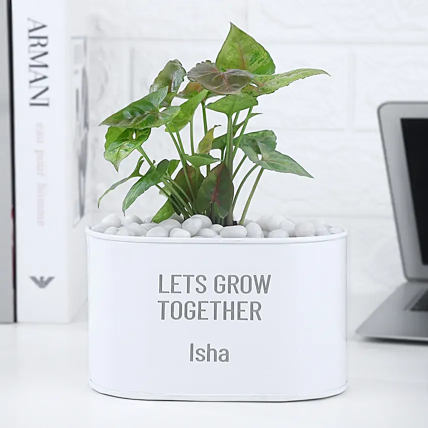 Syngonium Plant In Personalised Grow Together Pot