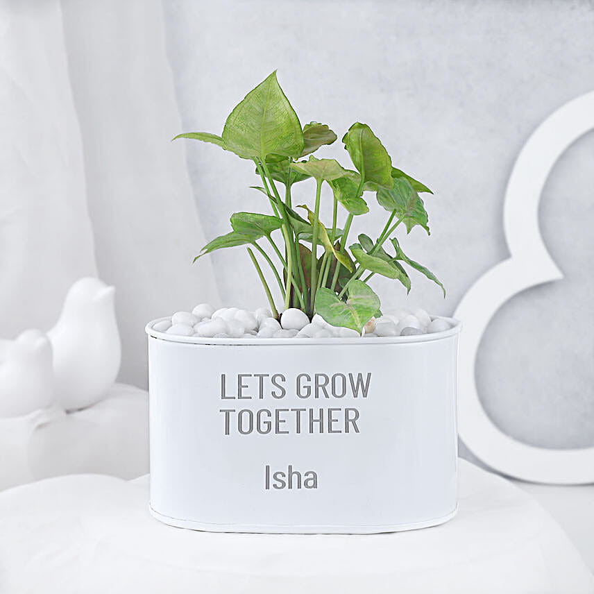 Syngonium Plant In Personalised Grow Together Pot