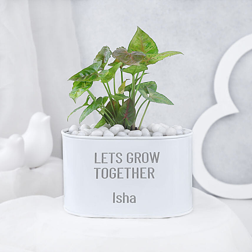 Syngonium Plant In Personalised Grow Together Pot