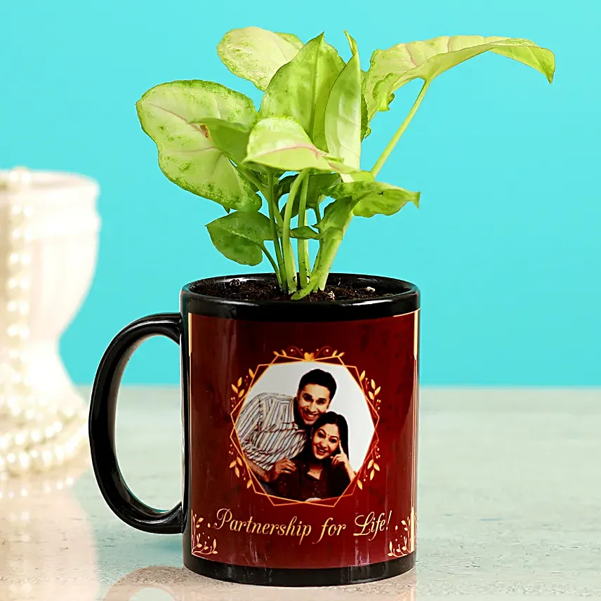 Karwa Chauth Plant Gift for Him