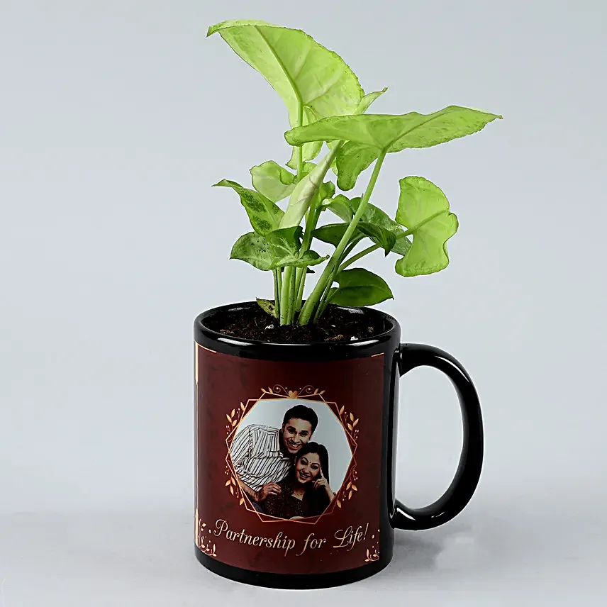 Karwa Chauth Plant Gift for Him