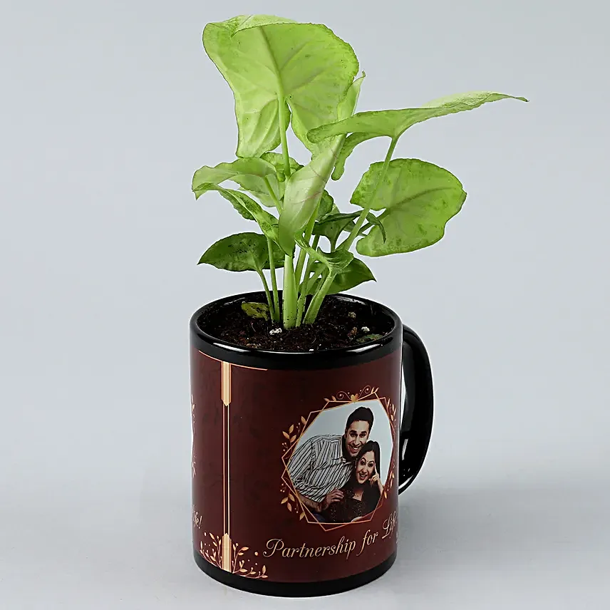 Karwa Chauth Plant Gift for Him