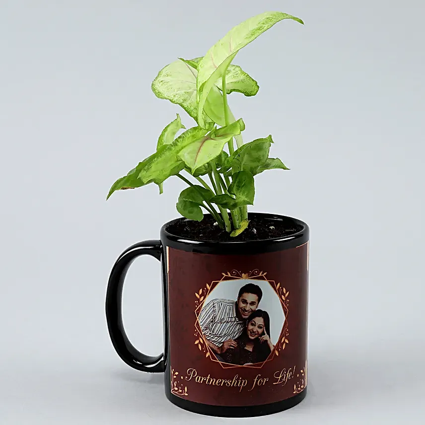 Karwa Chauth Plant Gift for Him