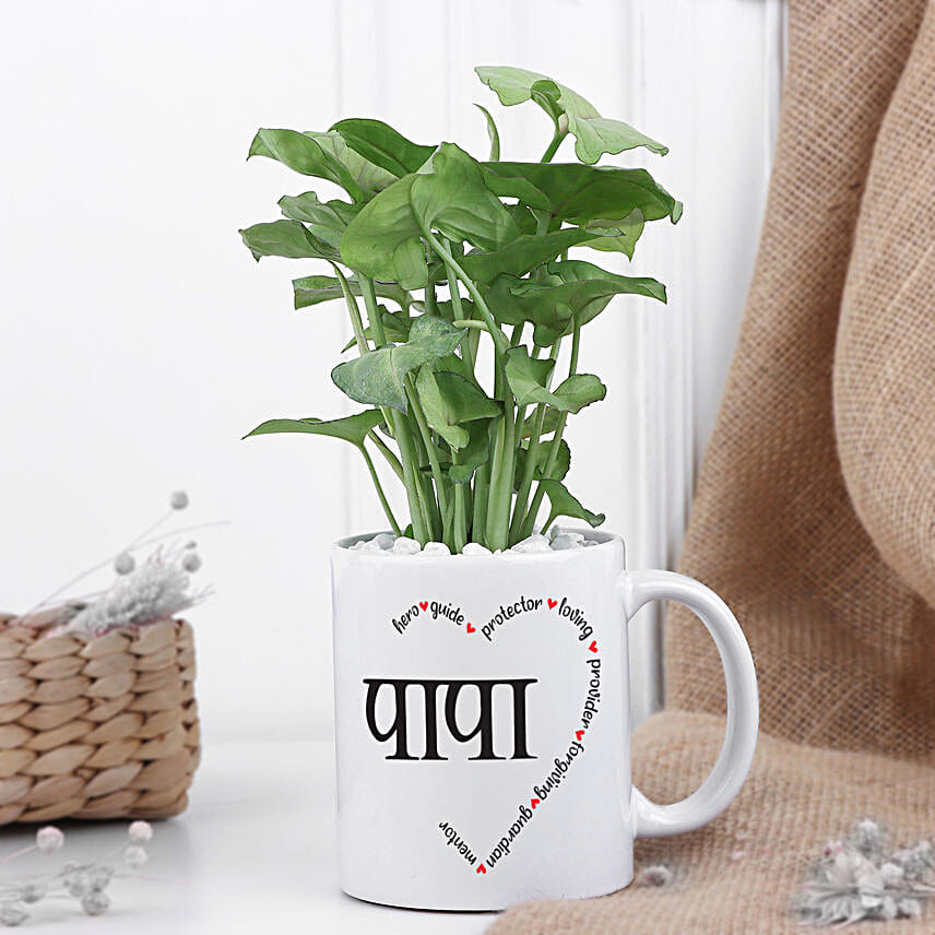 Syngonium Plant Love For Dad