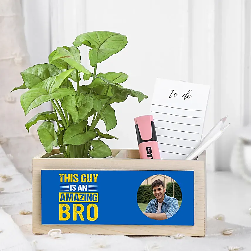 Syngonium Plant Surprise For Brother