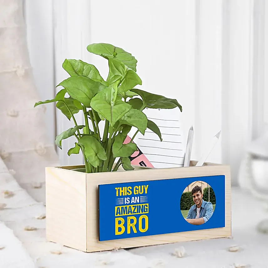 Syngonium Plant Surprise For Brother