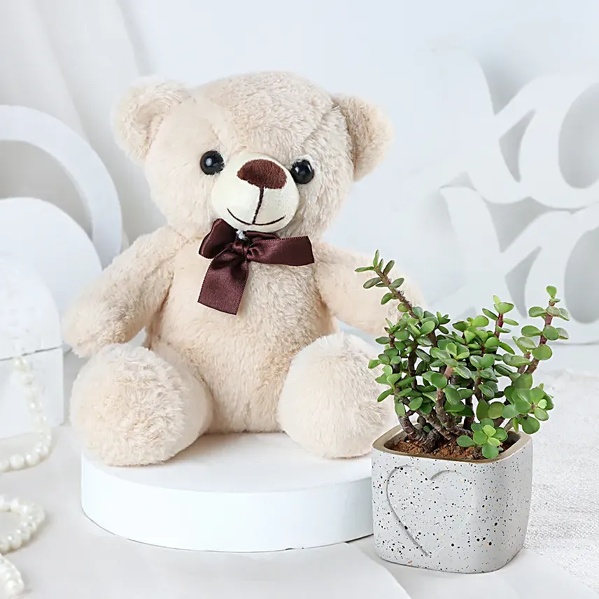 Teddy Love N Plant Special Valentine Gift