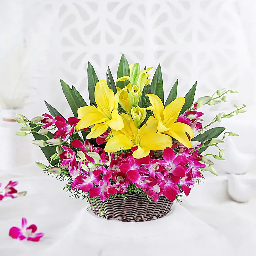 Timeless Elegance - Basket arrangement of 6 Purple Orchids with 2 yellow lilies.
