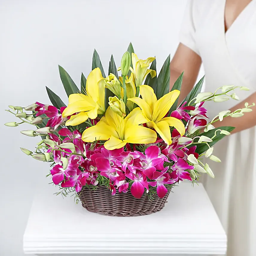 Timeless Elegance - Basket arrangement of 6 Purple Orchids with 2 yellow lilies.