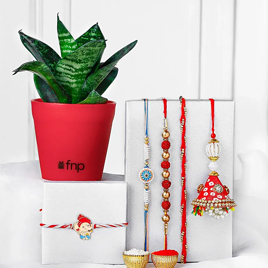 Traditional Family Rakhi Gift Sets