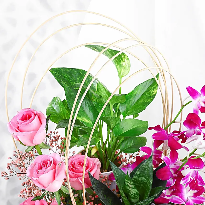 Tranquil Orchid and Greenery Gift