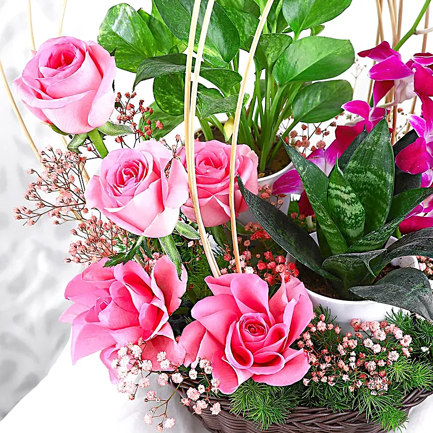 Tranquil Orchid and Greenery Gift