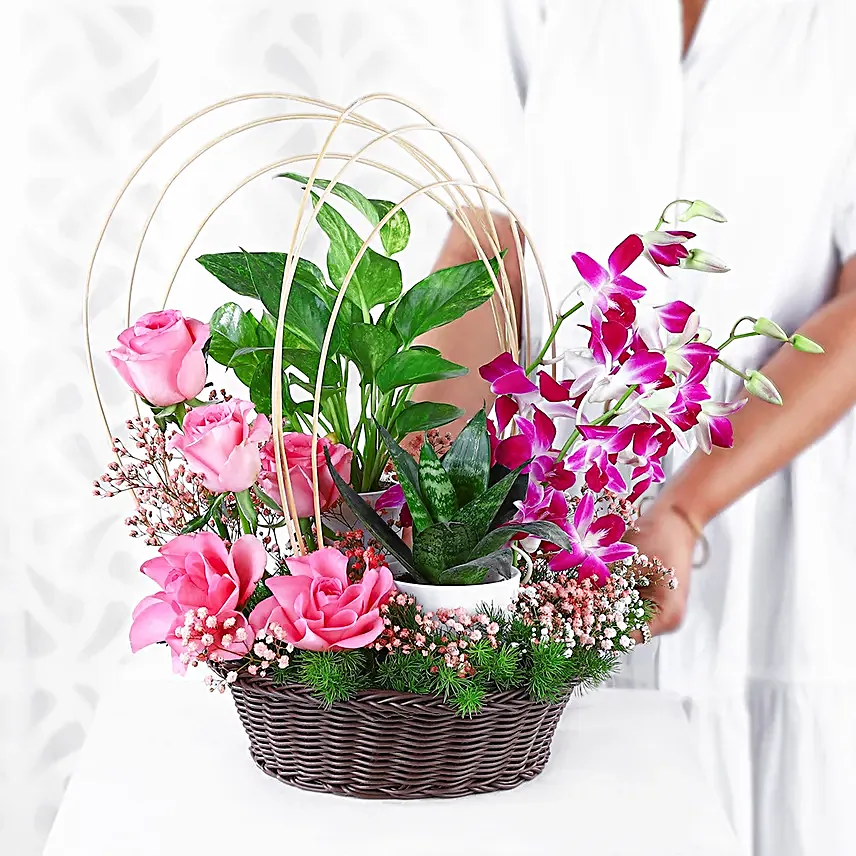 Tranquil Orchid and Greenery Gift