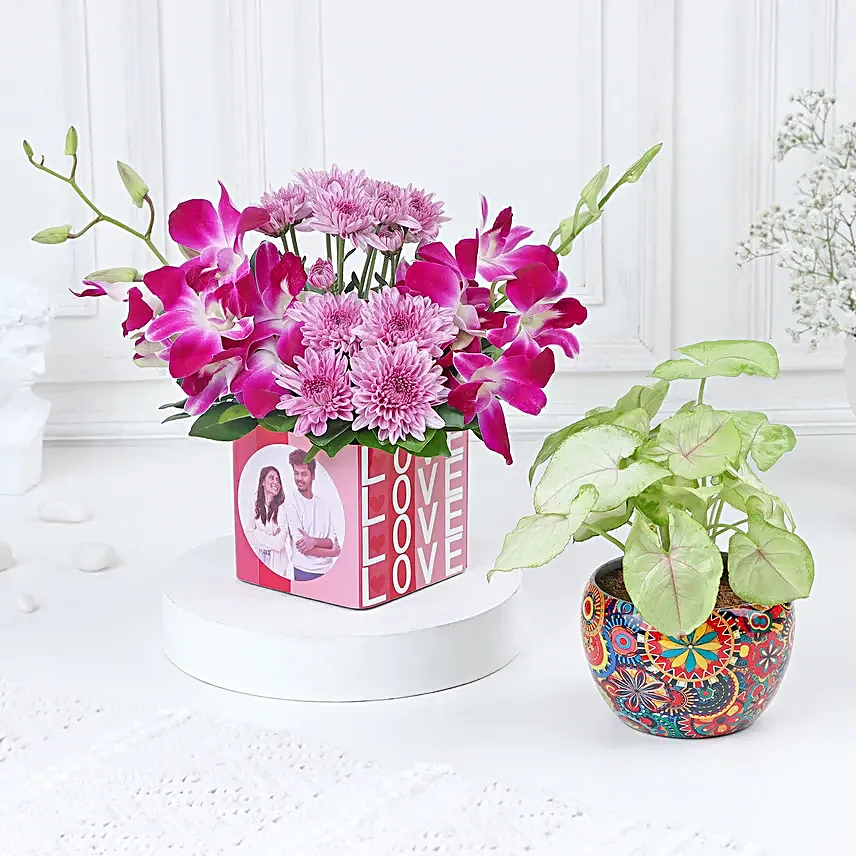 Tropical Harmony Arrangement