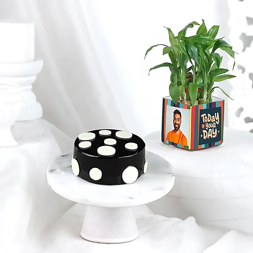 Truffle Bento Cake N Bamboo Plant Combo