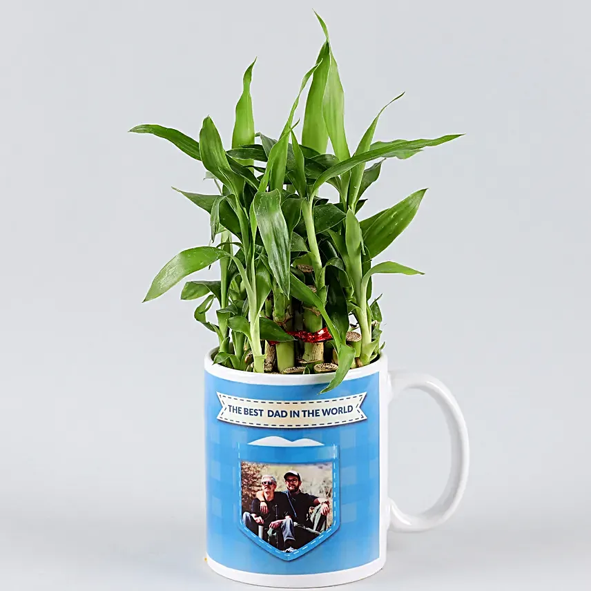fathers day plants