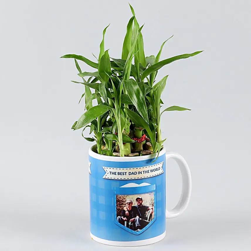 fathers day plants