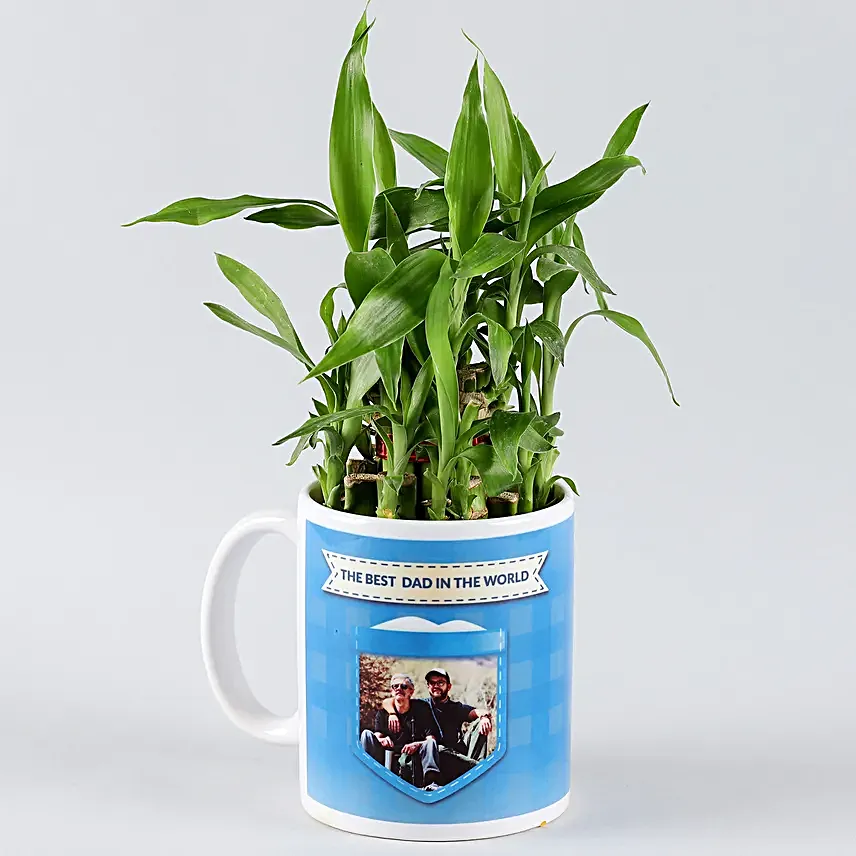 fathers day plants