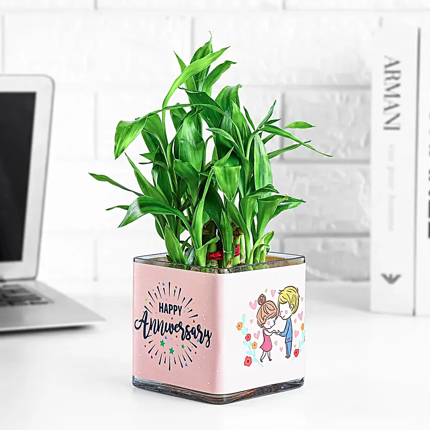 bamboo plants for anniversary greeting