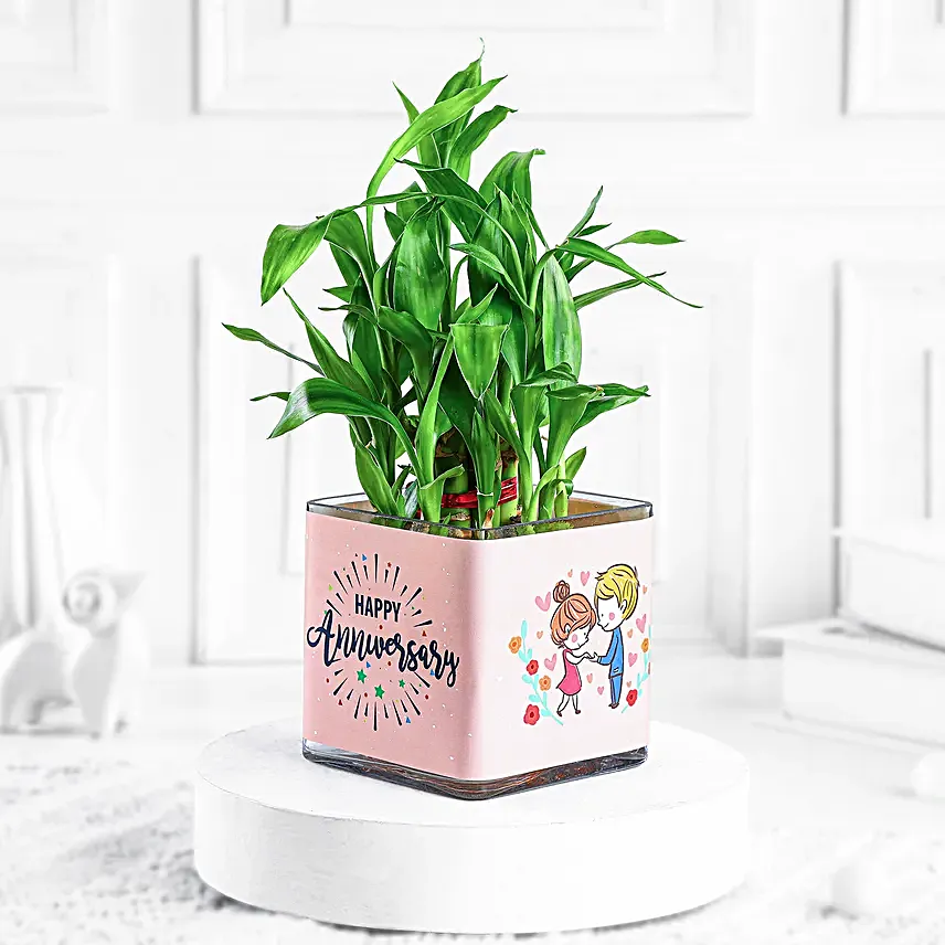 bamboo plants for anniversary greeting