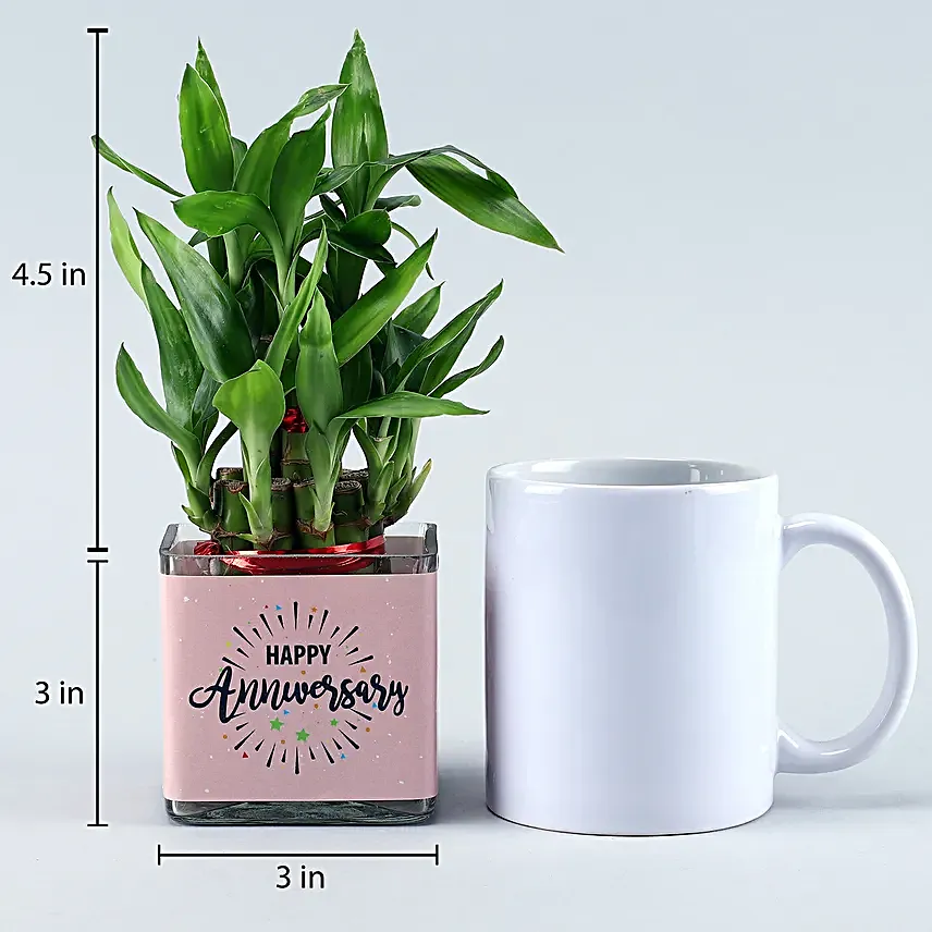 bamboo plants for anniversary greeting