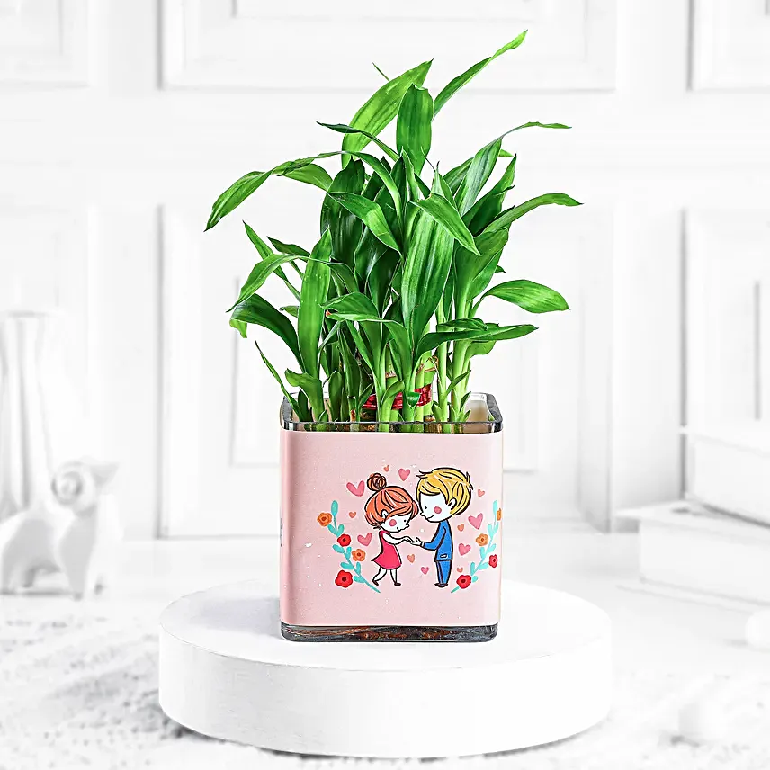 bamboo plants for anniversary greeting