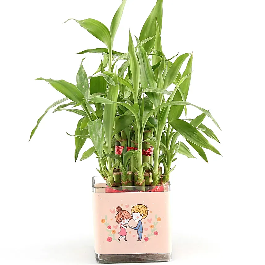 bamboo plants for anniversary greeting
