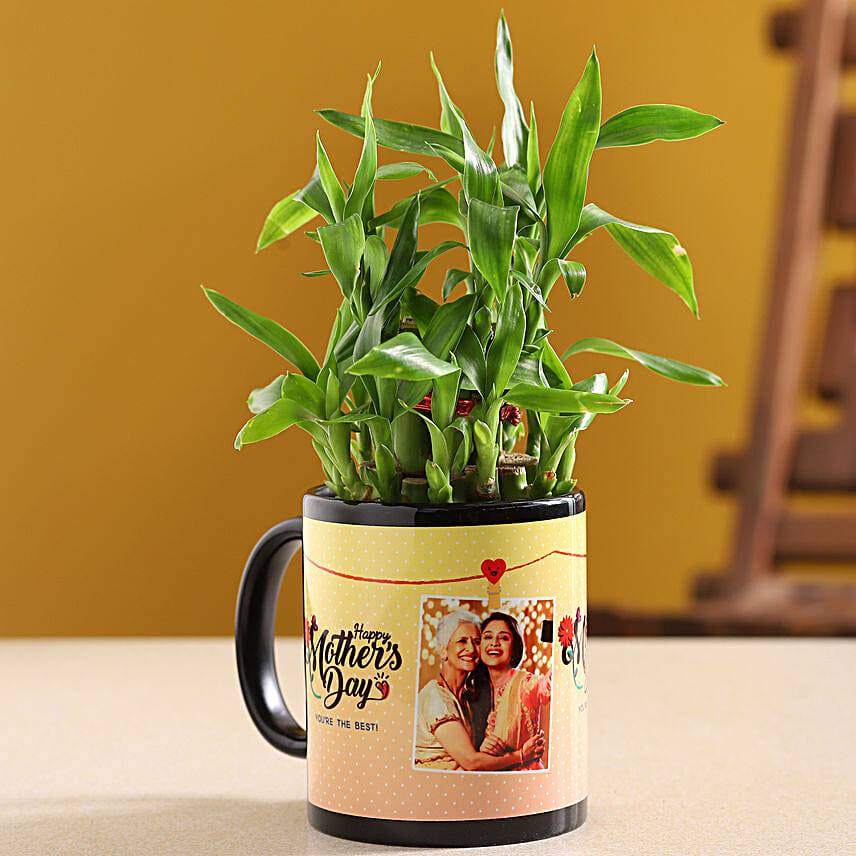 Two Layer Bamboo Plant In Happy Mother Day Mug