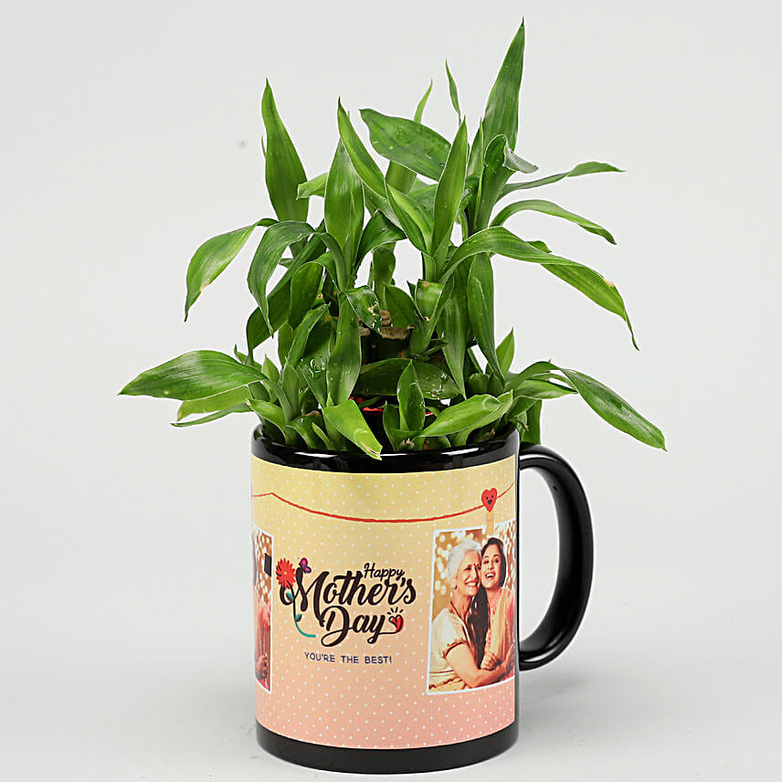 Two Layer Bamboo Plant In Happy Mother Day Mug