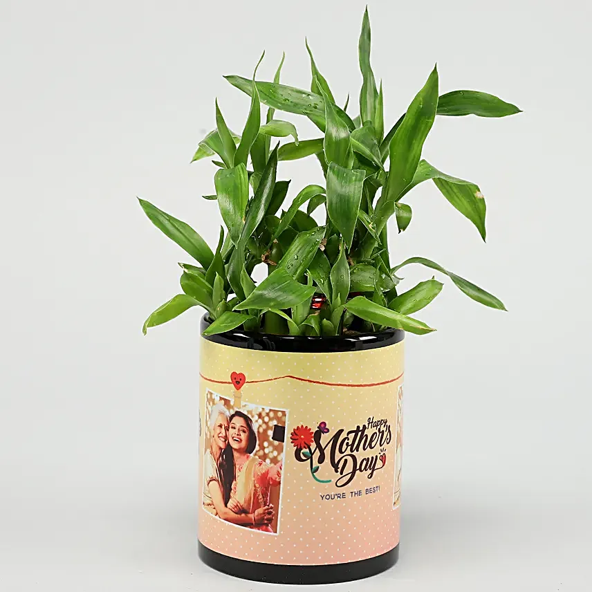 Two Layer Bamboo Plant In Happy Mother Day Mug