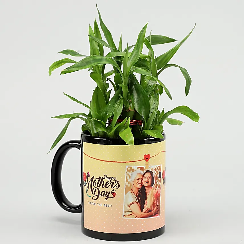 Two Layer Bamboo Plant In Happy Mother Day Mug