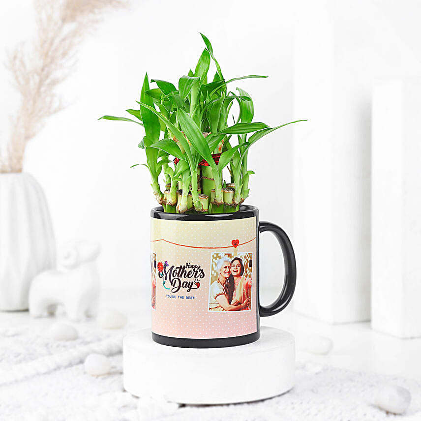 Two Layer Bamboo Plant In Happy Mother Day Special Mug