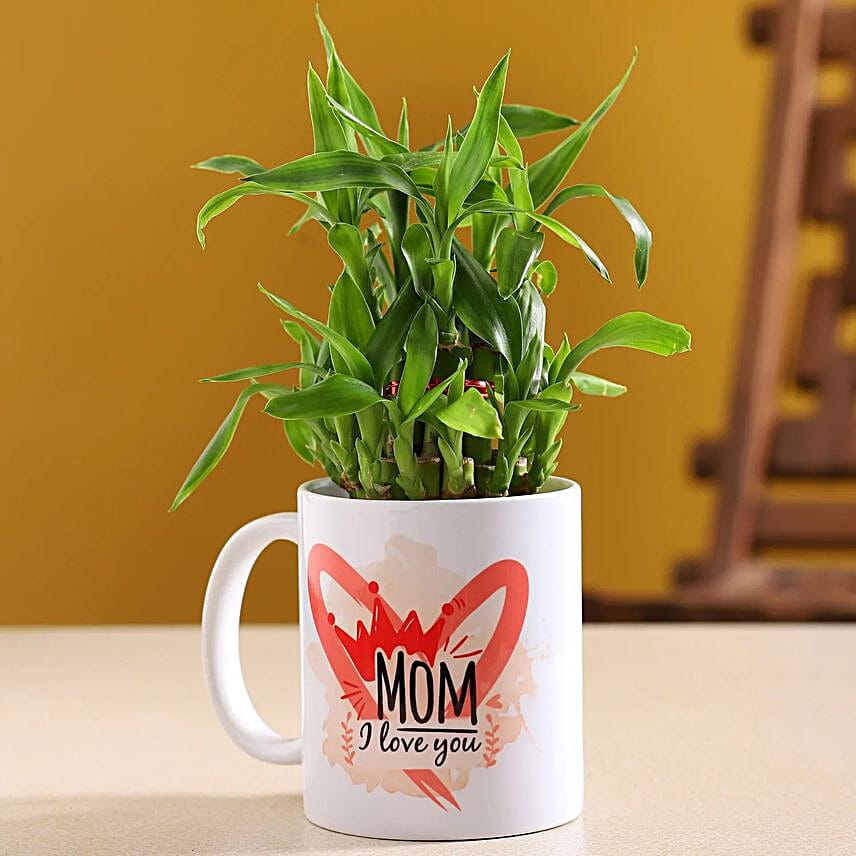 Two Layer Bamboo Plant In I Love U Mug