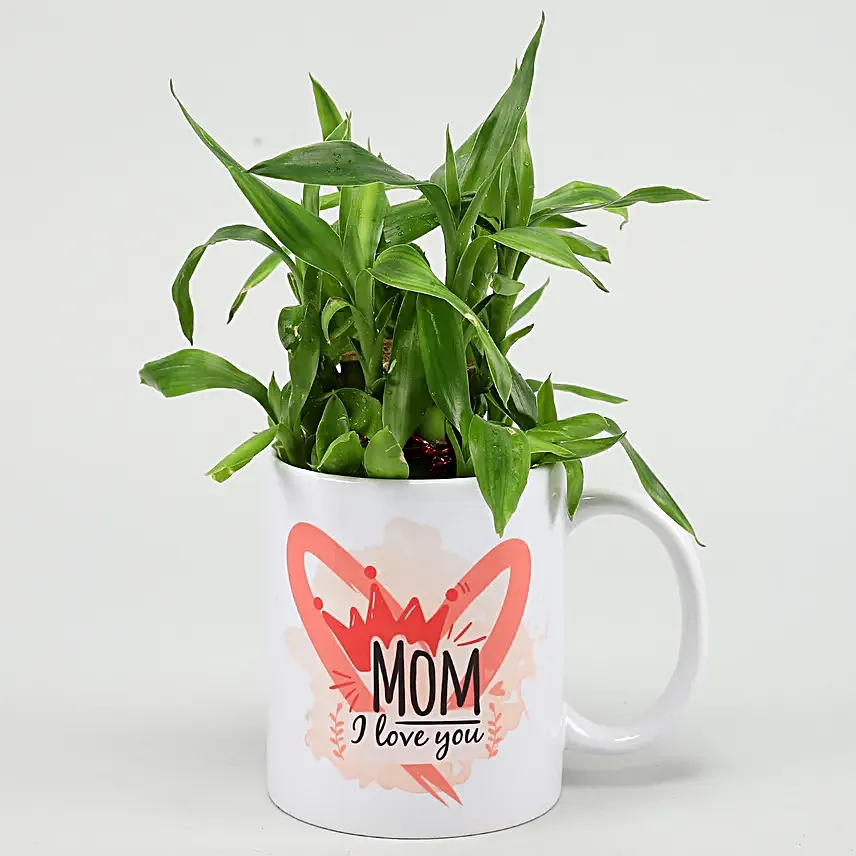 Two Layer Bamboo Plant In I Love U Mug