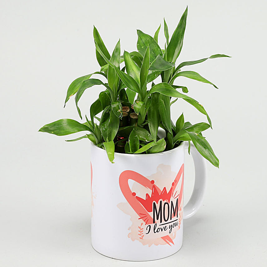 Two Layer Bamboo Plant In I Love U Mug