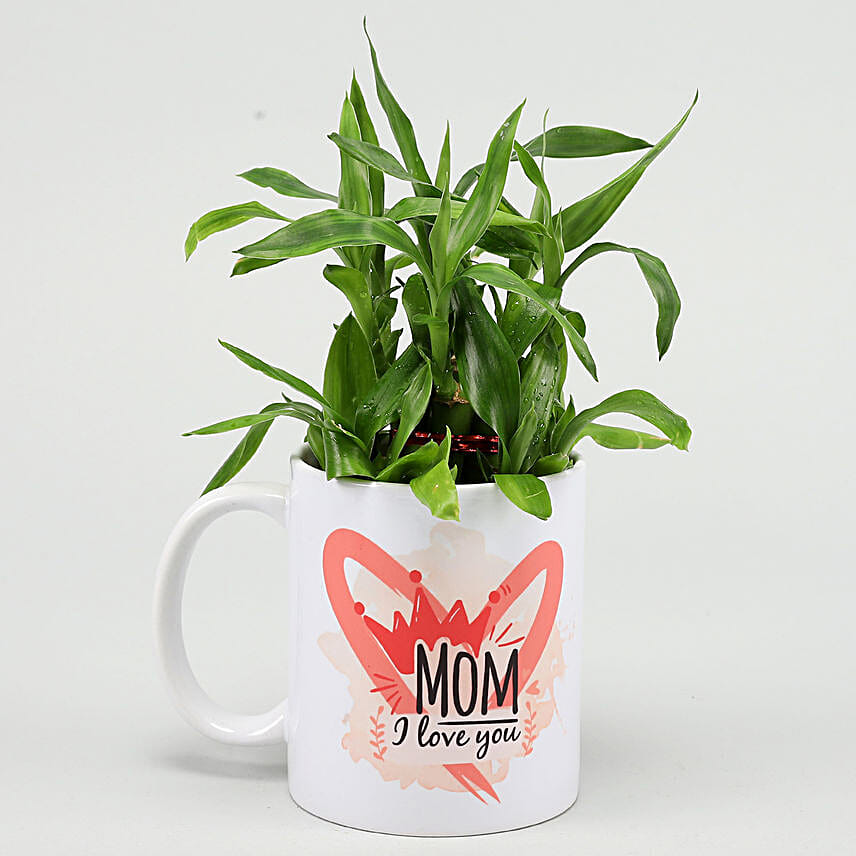 Two Layer Bamboo Plant In I Love U Mug