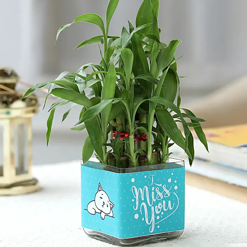 2 layer bamboo for miss you