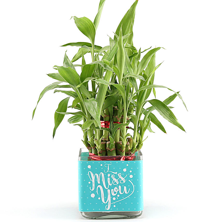 2 layer bamboo for miss you
