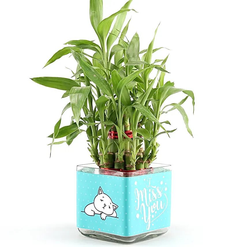 2 layer bamboo for miss you